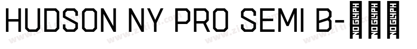 Hudson NY Pro Semi B字体转换